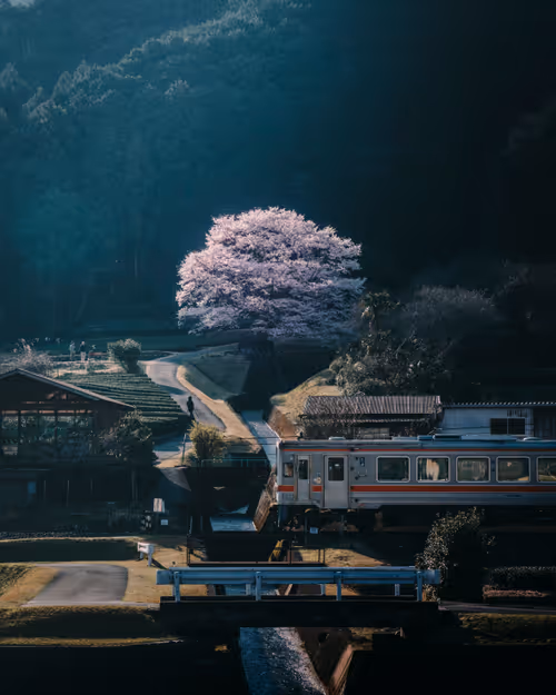 Item #63385844922884707260670708997335825018243835468688279288737241364224219807745 Media