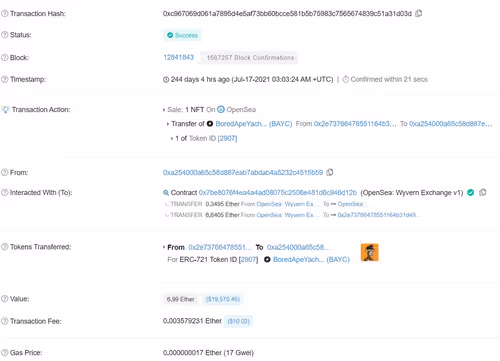 Worst Decision Ever(BAYC)