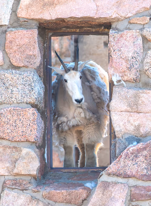 Item #19207338348144225692080396183640865546201068415206893468727031780497118199809 Media