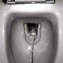 12660136923828748263426703316480839463053827608546839420335323966837272608769