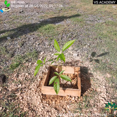 Item #8500196597889277390194123329501889087166328879864934763448348785233406984193 Media