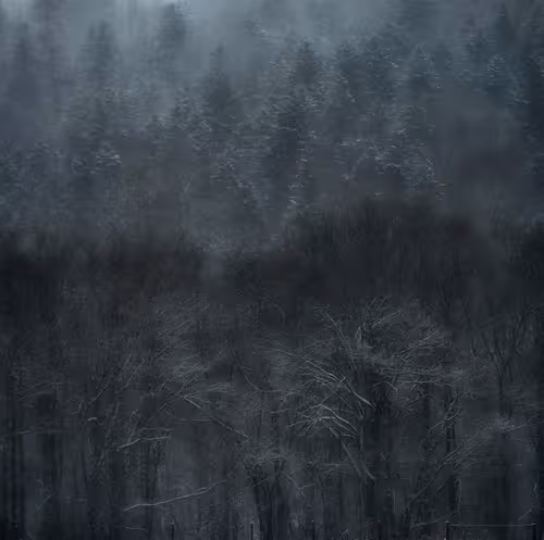 Item #111819353391232385355292732865064309059161123936801669989557009006409354838017 Media