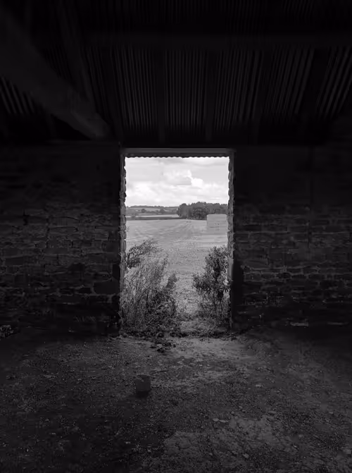 Item #83625537125759395579369075121203645529403073767126639893665262758650791854085 Media