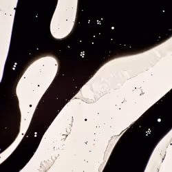 9251341193756129610411101804839683921415719585297066577807806959009728036865