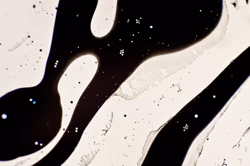 Item #9251341193756129610411101804839683921415719585297066577807806959009728036865 Media