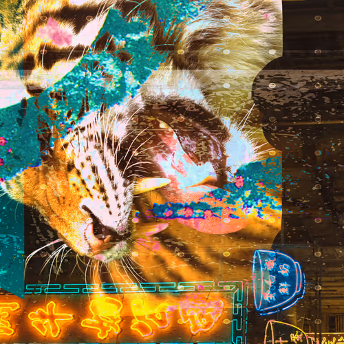 Item #70871789297038847474936990980642128639466396977418564409853881992162125545473 Media