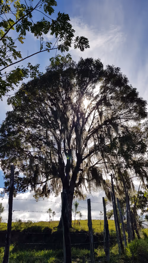 Item #113362109709365944141137886500163150931447814244950449187042120712837276893185 Media