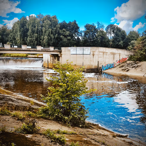 Item #63125027143692450545670349952386454228826326106008763949201579388677417598977 Media