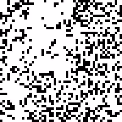 00000100