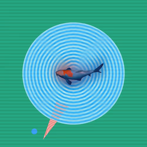 Item #650746001155939105340423805722977289149389340762719357359196069655354540033 Media