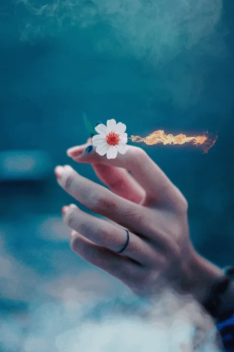 Item #31900271073354632832991890429912638653086322620126594410230774057905248272385 Media