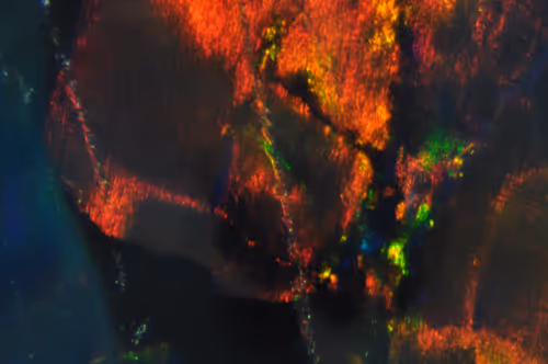 Item #21177589988234382907292029725280025606269119538694693414219510836604839133185 Media