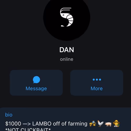 Shrimp Collection V2