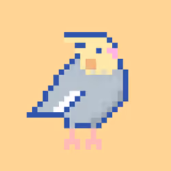 Cockatiel #13
