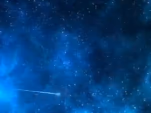 Untitled Collection #21324433