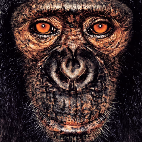 109162157552346088047496633038404394118504199992061596446112929718379873304577