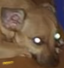 Untitled Collection #103326228