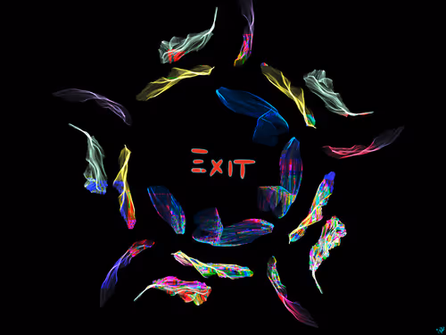 Item #33424816456475479058666429655808952214722683084272271257172629160035841212417 Media