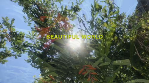 Item #29511697845116579399925011661064445951476116683601584807484795292986967588865 Media