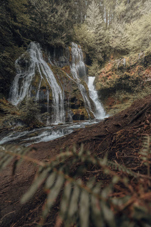 Item #66238051181761595307184186966645763884629250056383602448065297980704432324609 Media