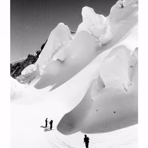 15134709310911277842728697403753673439210482131750318059492546417900847628289