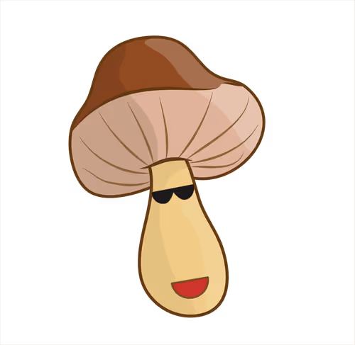 Item #82793807533074803550559074412293794782293997573157595909210745518148900880385 Media