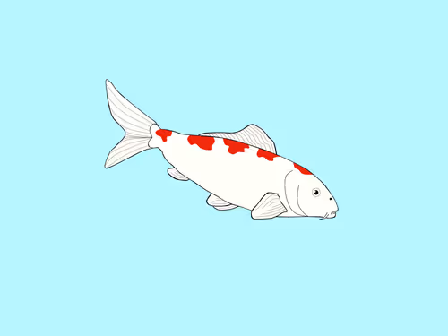 Item #52883318814193085097207625604627808123680453208732988968688103149264313516033 Media