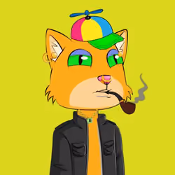 Know It All Kitty