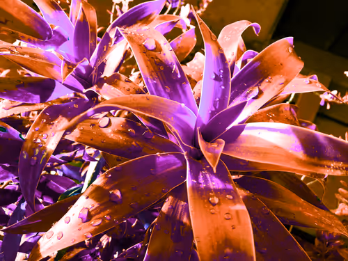 Item #73500831465274484636808432371450270284794711463613290897920534284541615931393 Media