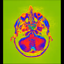 64162533542198579898252916190583583845604629893829087458582975886529994424321