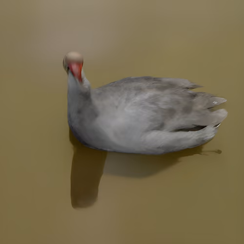 005 | Untitled Goose Picture