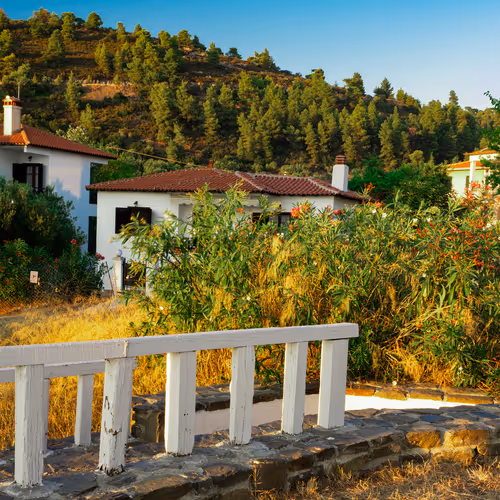 Item #103686277115178527412315898511256896200639863012682764514094226644187259863041 Media