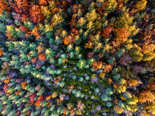 Item #95229034153510470396511515867568444678676379780033711068818665179000971722753 Media