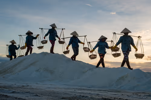 Item #44380994338133063636427405274069008736849147253072084515634940312906513776641 Media