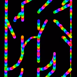 38441269529530760174436903279067870552302020082136112054512560633222598230017