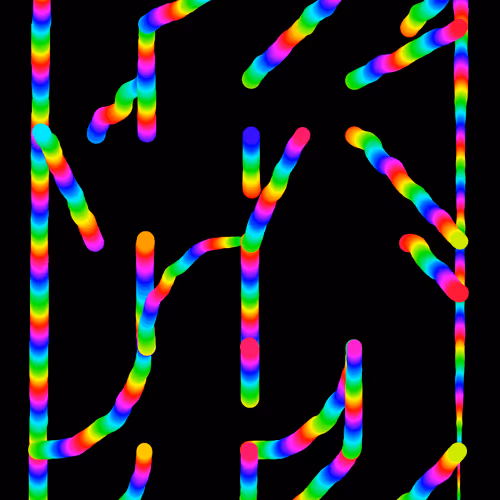 210301_204246 CS i5/6