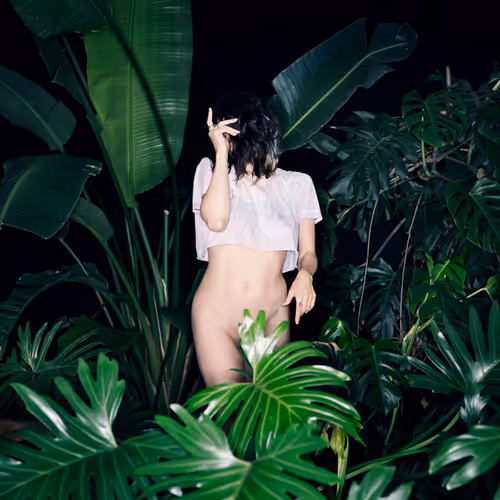 29225512278462627521798648337765154625875213490195303772458487970254318206977