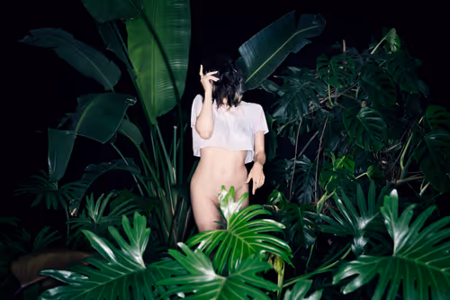 Item #29225512278462627521798648337765154625875213490195303772458487970254318206977 Media