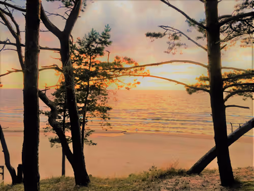 Item #36797478990227503802515544271343238965940869473164843468653790305297044078593 Media