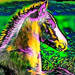 50830097462543580601473563981388698009005024090223633461481090011952763109377