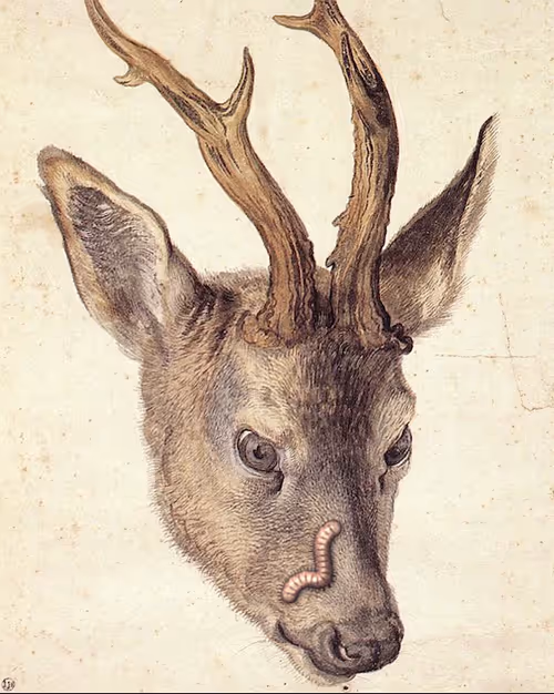 Item #96630031204524767844975569203432916620349460900738982731614198355936753483777 Media