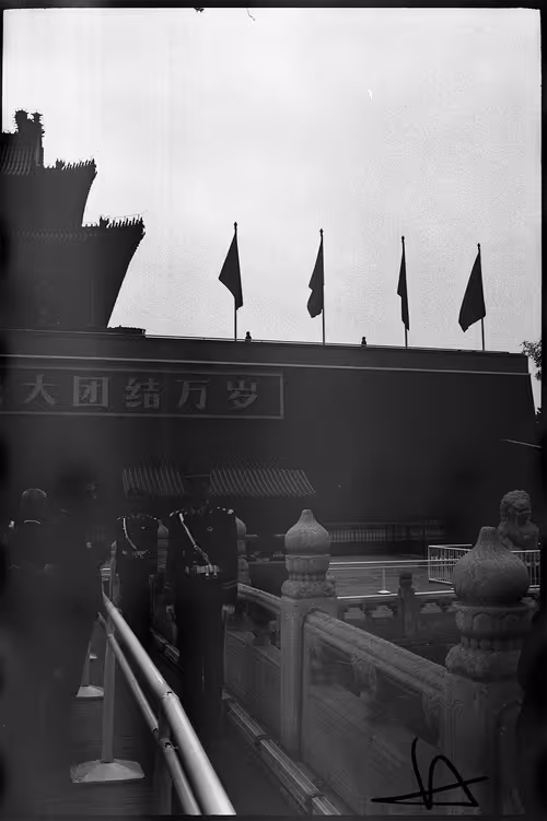 Item #50967930719088419678156761822840198532350151221200574337719960058984516288513 Media