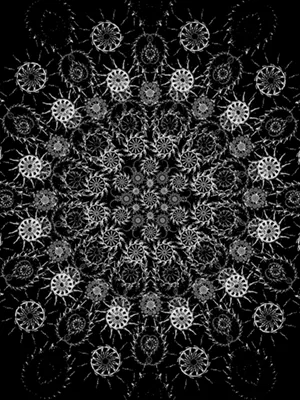 Item #37427849971963562945680097919920776522842580039439941399392249972453768429569 Media