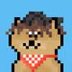 47026840214959268268901414111331207236682570440645319777487607564397415759873