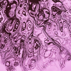 115338729222800520070386886369929169666551686229421791026138919757840071524353