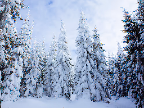 Item #20509465438609277551874808861244890758591647001332639405873676884711147831396 Media