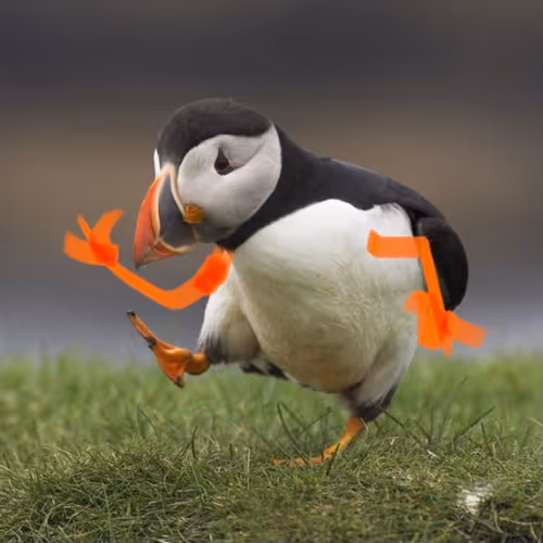 Item #109675299844138908130345288842380091015434126869171858984097083518396609331201 Media