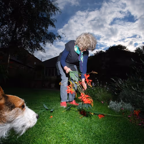 109162157552346088047496633038404394118504199992061596446112929388526384971777