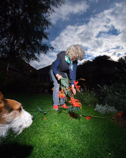 Item #109162157552346088047496633038404394118504199992061596446112929388526384971777 Media