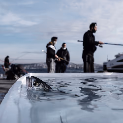 45698053960438807051727633621105073210005053048443120307747772229234194382849